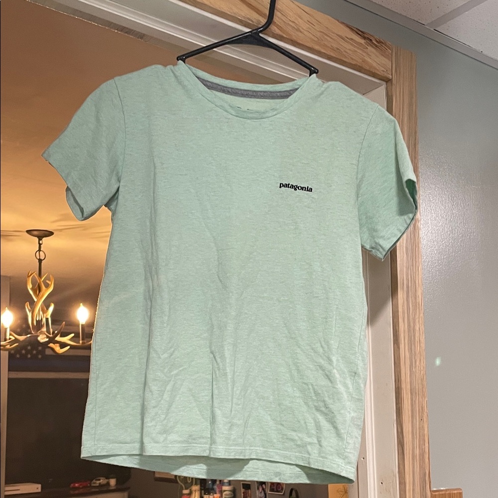 Patagonia Short-Sleeve Tee in Mint Green